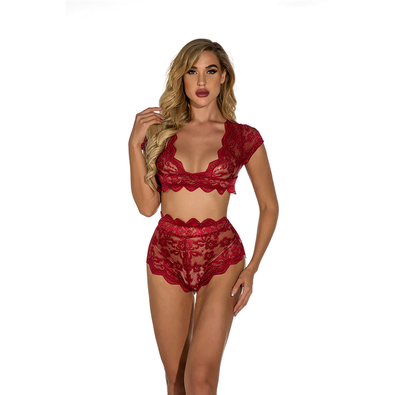 Sexy Lace Top and Short Set