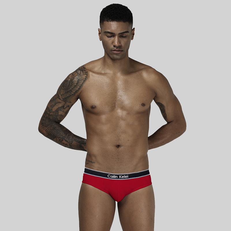 Men's Briefs - CK1502