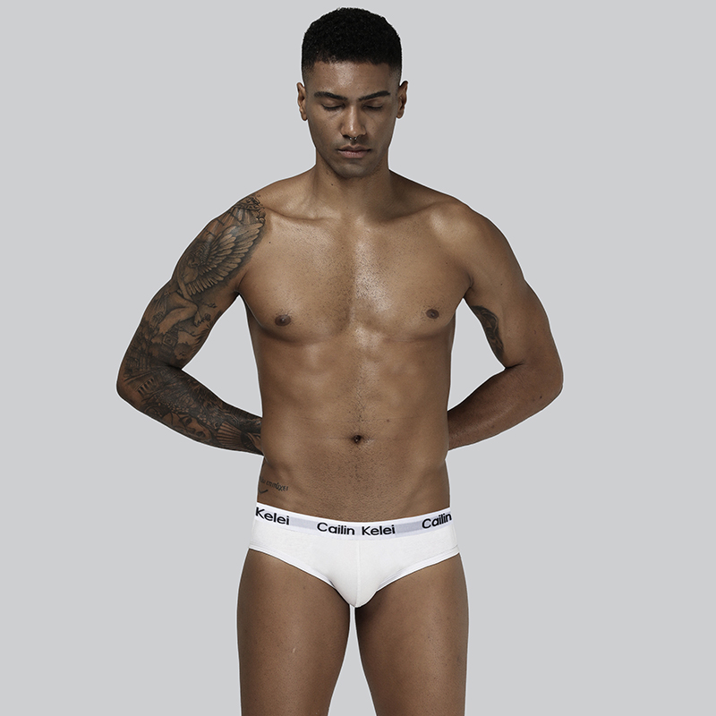 Men's Briefs - CK1505