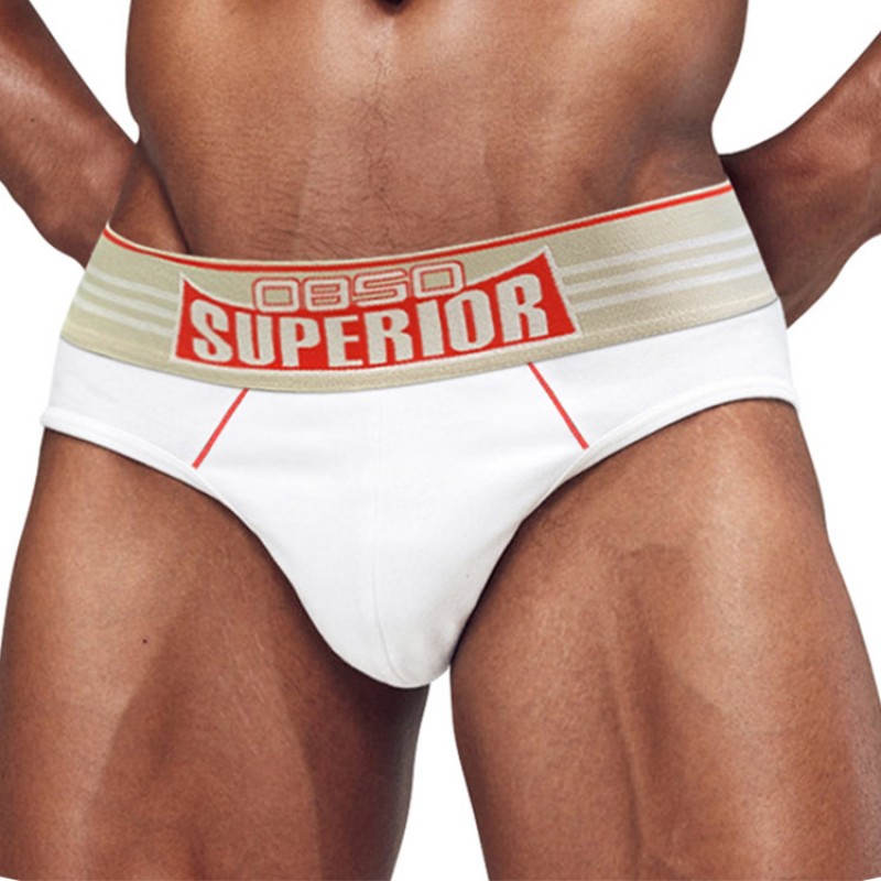 Men's Briefs - BS842