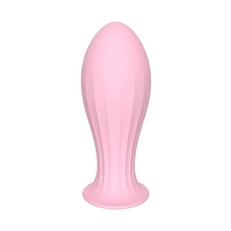 Anal Vibrator for Beginner