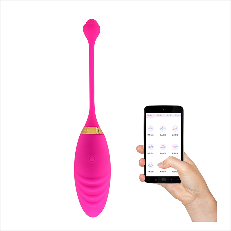 App Control Egg Vibrator - B21