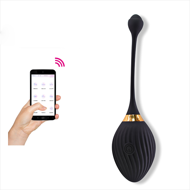 App Control Egg Vibrator - B50