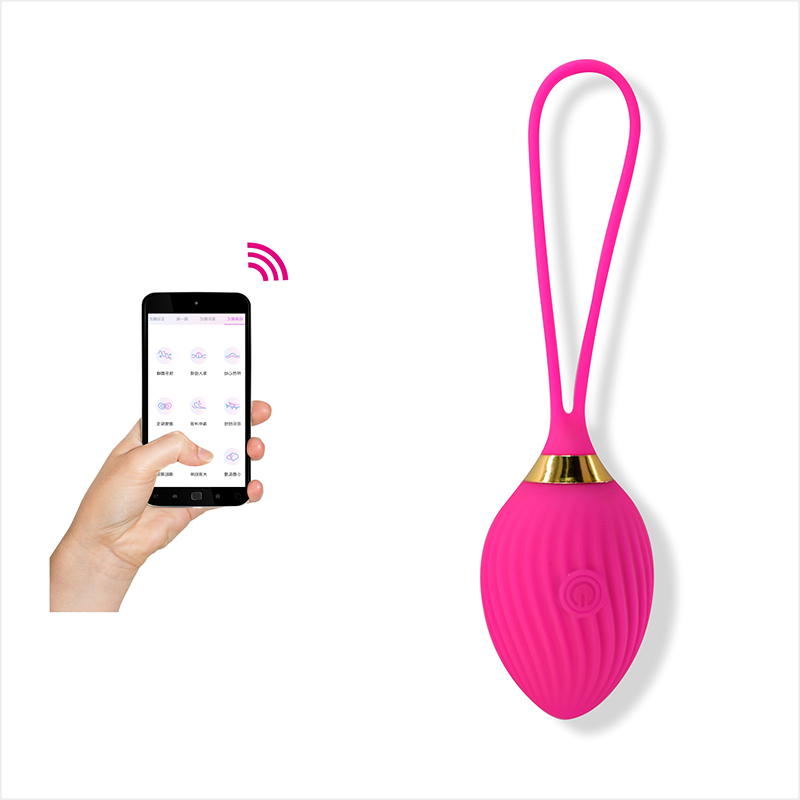 App Control Egg Vibrator - B51