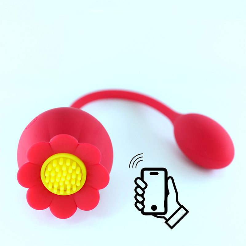 App Control Rose Egg Vibrator - B531