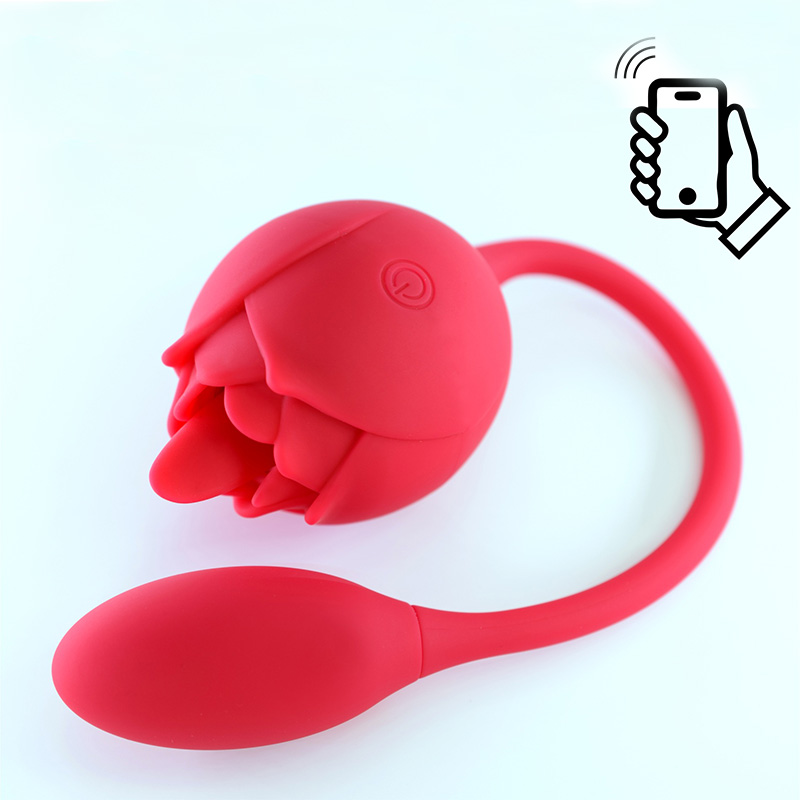 App Control Rose Egg Vibrator - B532