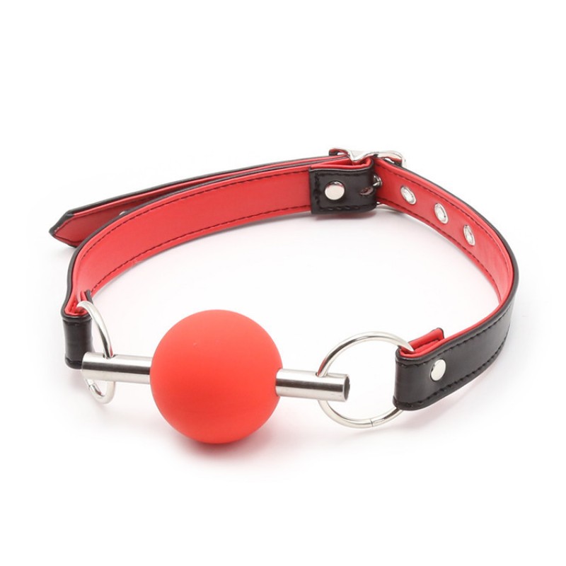 Metal Shaft Silicone Mouth Gag