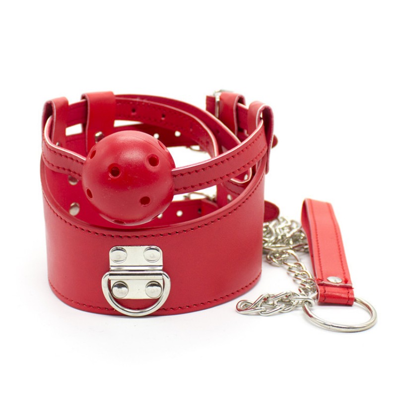 Silicone Gag and Leashed Collar