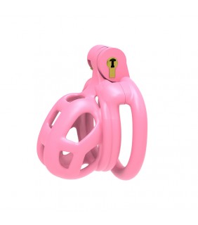 3D Cock Cage with 4 Clasps - A519