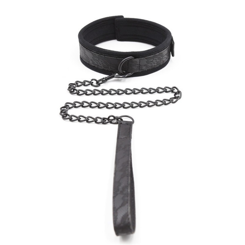 Nylon Collar with Leash