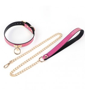 Pattern Leash Collar