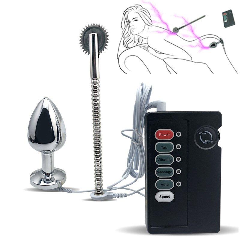 Electric Pinwheel and Anal Plug Estim Kit