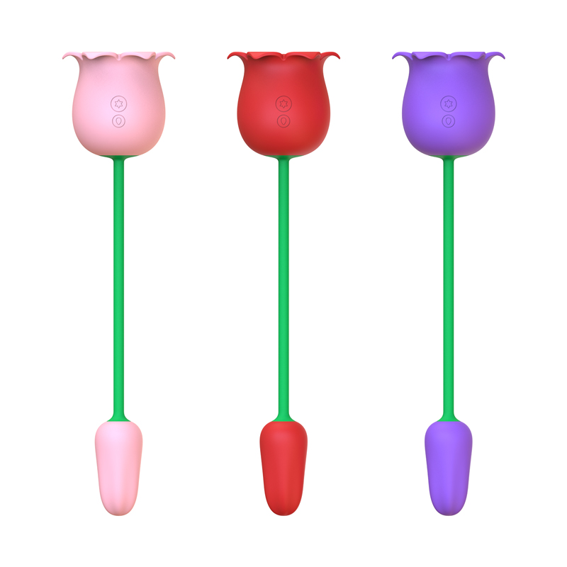 2 In 1 Sucking and Egg Vibrator - Linn