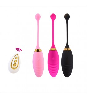 Remote Control Vibrating Egg - B21