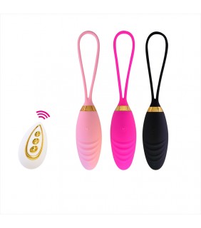 Remote Control Vibrating Egg - B22