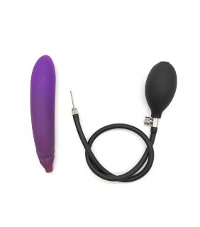 Fruit Inflatable Anal Plug - Eggplant